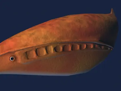 Arandaspis orange fish Low-poly 3D model