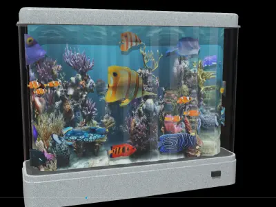 Fish Motion Picture Aquarium Night Lamp Low-poly 3D model