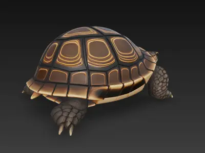 Turtle Realistic 3D Model - Low Poly Realistic Low-poly 3D model