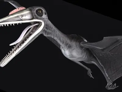 Pterodactylus dinosaur flying in air 3D model