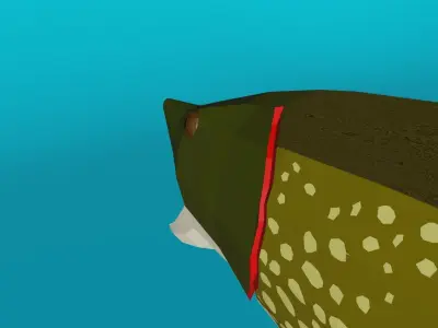 Pike Predator Low-poly 3D model