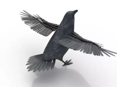 Raven Bird Rigged 3d model Free 3D model