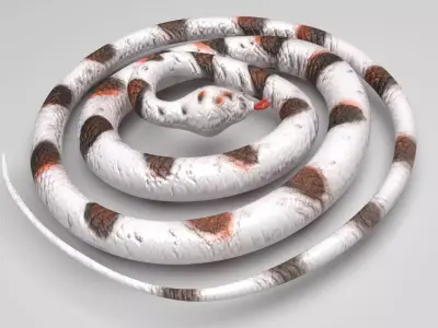 Rubber Snake 3D model