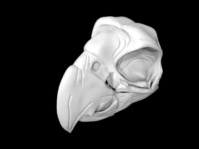 Parrot skull Low-poly 3D model