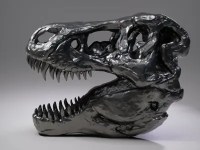 T-rex Skull Free 3D print model