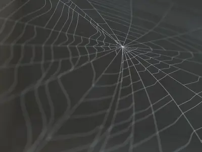 Spiderweb 3 3D model
