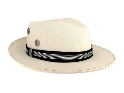 Fedora Hat Isolated 3D model