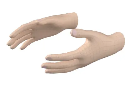 Female Hand Base Mesh 04 3D model