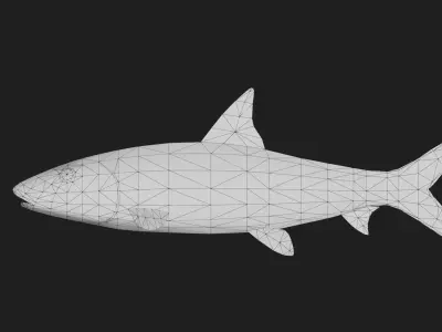Bonefish Low-poly 3D model