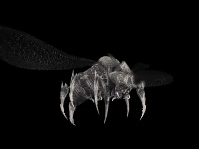 Flying Bug 12 Low-poly 3D model