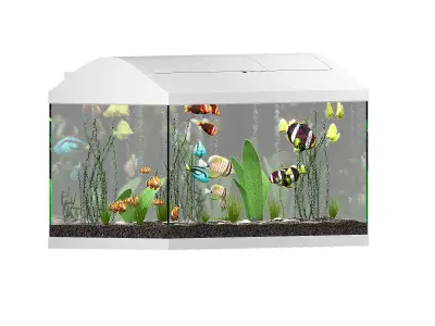 Aquarium fish tank 3D model