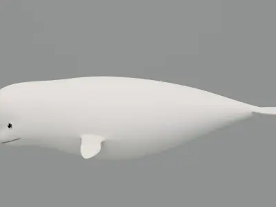Rigged Cartoon Beluga Whale 3D model
