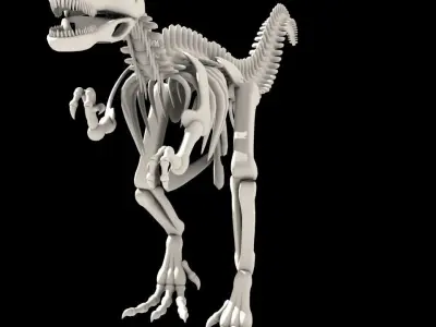 Dinosaurus skeleton Low-poly 3D model