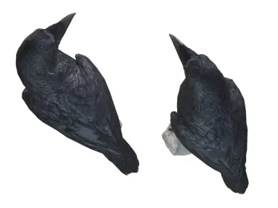 Raven pair of crow statues 3D model