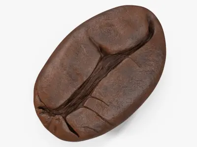 Coffee Bean Roasted 4 v 2 3D model