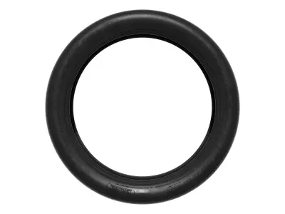 MICHELIN PILOT SPORT CUP 2 3D model