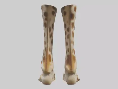 Giraffe Hooves Low-poly 3D model