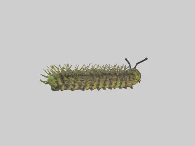 Monarch Caterpillar Low-poly 3D model