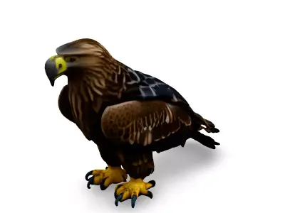 Realistic Golden Eagle 3D Model Low-poly 3D model