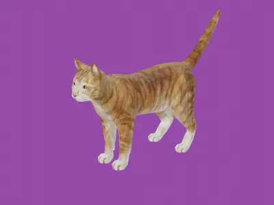 cat lowpoly 3d model 3D model