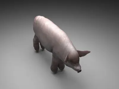 Pig Animal 3D model