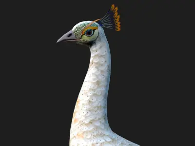 Peacock V5E 3D model