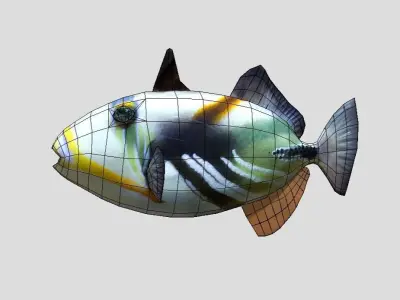 Picasso Triggerfish Realistic Animated Low-poly 3D model