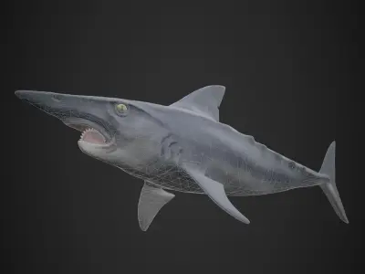 Helicoprion Low-poly 3D model