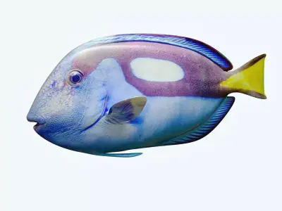 Dorry fish flying in sky 3D model