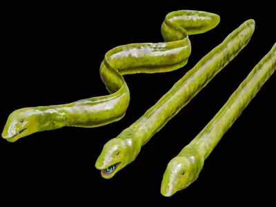 Sea Snake Low-poly 3D model