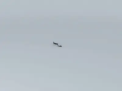 United Airlines Flight 288 and CargoLux Flight 9330F Free 3D model