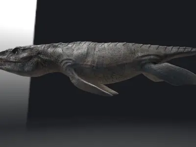 Dinosaur Predator X Pliosaurus Funkei SeaMonster Series 2 Low-poly 3D model