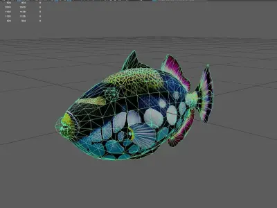 Clowntriggerfish Low-poly 3D model