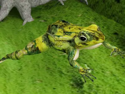 Eagle Attack 2 - 4K 3D model