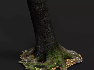 tree bark wide trunk part PBR photogrammetry Low-poly 3D model