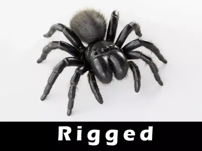 Mouse Spider Low-poly 3D model