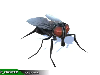 Low-Poly Housefly Insect Rigged Animated 3d model Low-poly 3D model