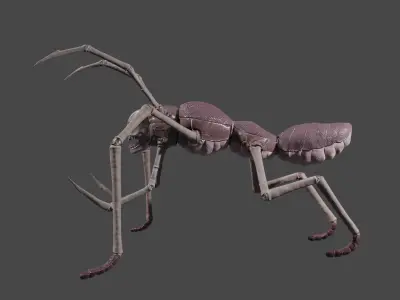  Arthropoda creature Low-poly 3D model