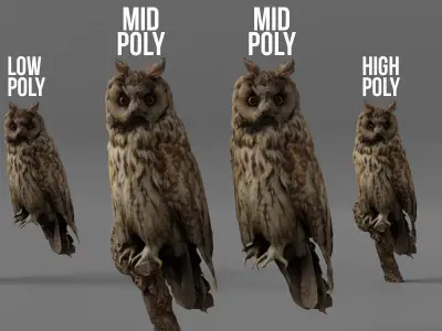 Photorealistic Long Eared Owl Low-poly 3D model