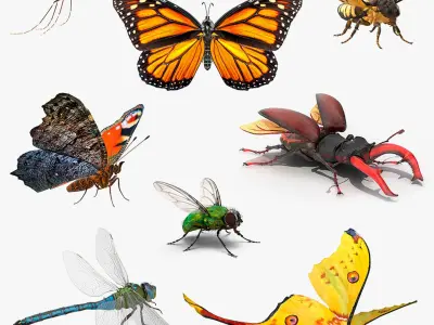 Rigged Flying Insects Collection 3 for Maya 3D model