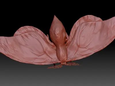 Moth 3D Model with long legs and wings Free 3D model