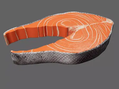 Slice of Raw Salmon 3D model