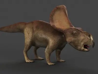 protoceratops ceratopsian dino dinosaur  3D model
