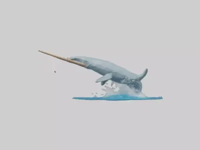 Narwhal breaching model Low-poly 3D model