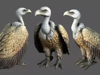 Vulture Low-poly 3D model