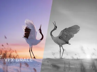 Red-Crowned Crane Animation VFX Grace 3D model