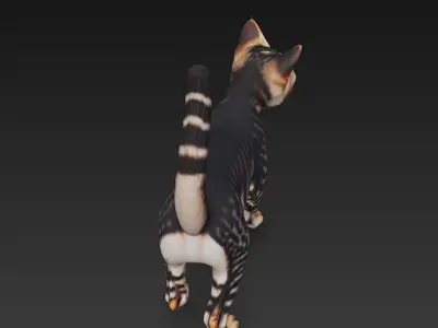 Cat Tabby Realistic 3D Model Basic - Low Poly Realistic Low-poly 3D model