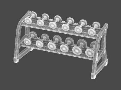 Technogym Two Tier Dumbbell Rack 6 Pairs 3D model