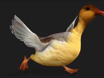 Duck A8 Free low-poly 3D model