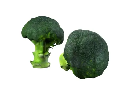 Broccoli scan Free low-poly 3D model